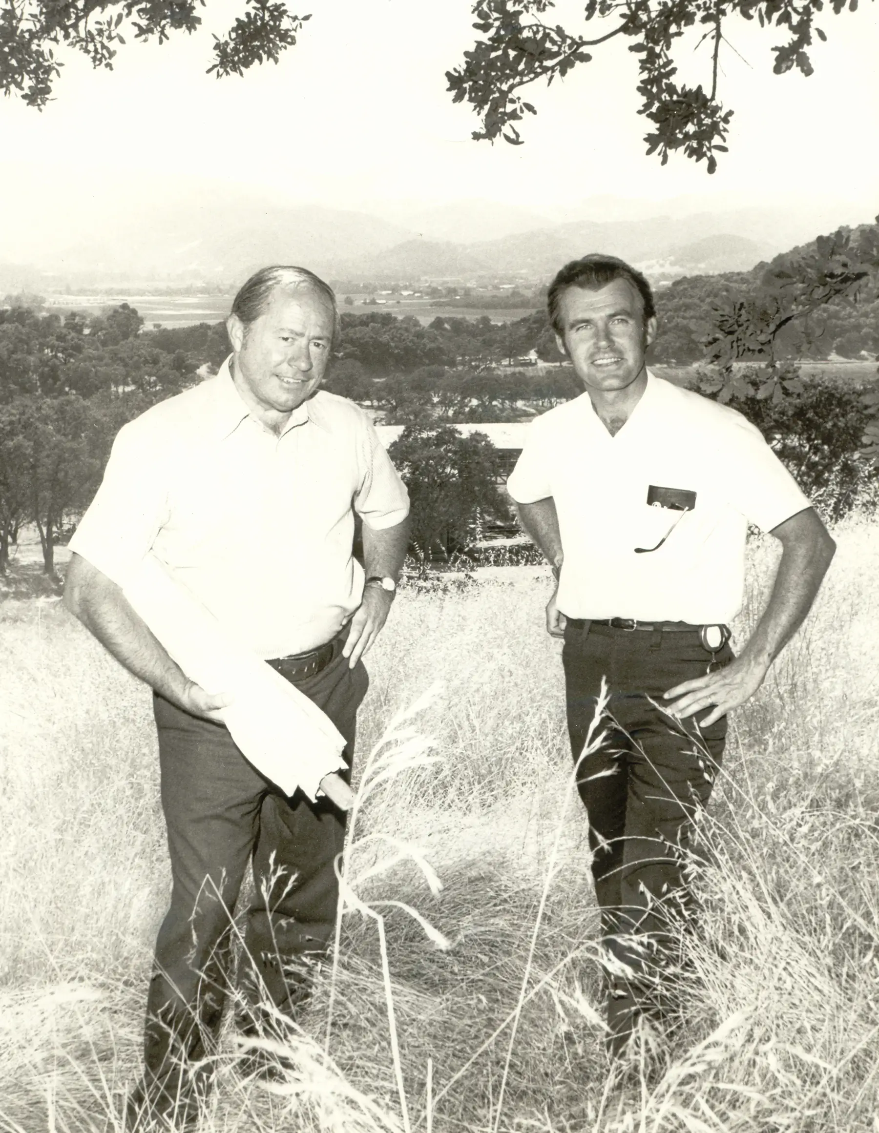 Schug Estate Image